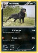 crocdoggg