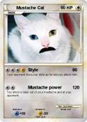 Mustache Cat