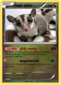 sugar glider