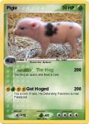 Pigle
