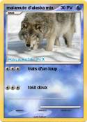 malamute d'alas