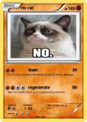 no cat