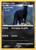 panthère noire