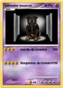rottweiler boun
