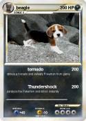 beagle