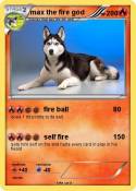 max the fire