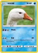 GOOSE