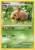 bunniesu
