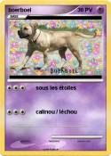 boerboel
