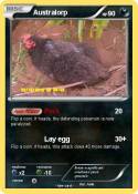 Australorp