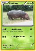 Gros Popo