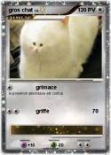 gros chat