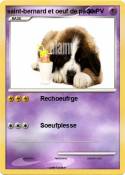 saint-bernard