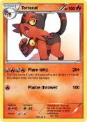 Torracat
