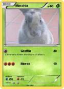 Macchia