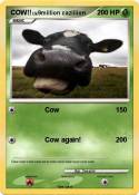 COW!!