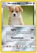 The cutest dog