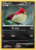 Angry bird