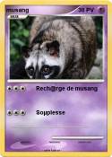 musang