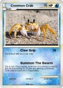 Common Crab