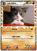 cute kitten