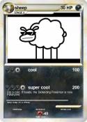 sheep