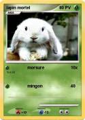 lapin mortel