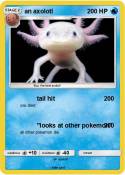 an axolotl