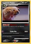 Headache Puppy