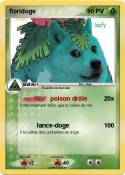 floridoge