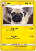 pug