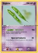 Euglena