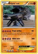 Sniper cat