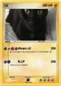 n2