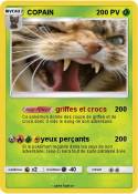 COPAIN