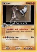 cat noris