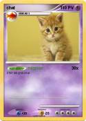 chat