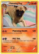 Flameing Pug