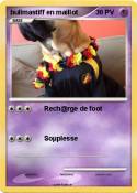 bullmastiff en