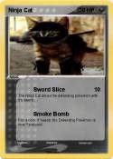 Ninja Cat
