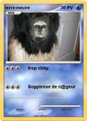 terre-neuve