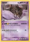 myCAT ex 99