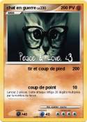 chat en guerre