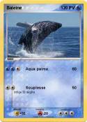 Baleine 