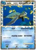 turtle LV:X