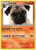 king pug
