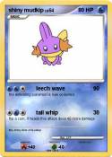 shiny mudkip