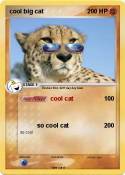cool big cat