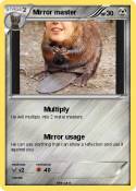 Mirror master