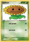 sunflower